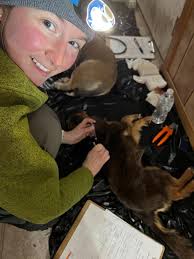 Kwigillingok and Kipnuk