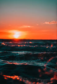 Our budget friendly options make life's special moments even more memorable. 60 000 Best Ocean Photos 100 Free Download Pexels Stock Photos