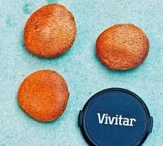 Image result for Telfairia pedata