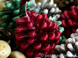 Mar 25, 2021 · pine cone fire starter directions if you want to create colorful flames, fill a plastic bucket or tub with two quarts hot water. Pine Cone Firestarters Candle Making Techniques