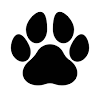How to draw animal footprints step by step? 1