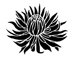 Protea Flower Stencil Trafarety Cvety Risunki