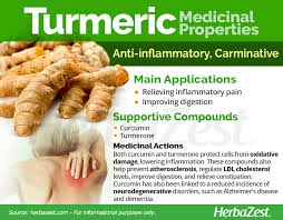 Maybe you would like to learn more about one of these? Turmeric Herbazest