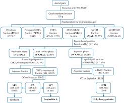 Image result for Eriosema laurentii