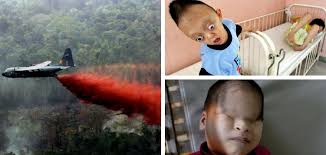 Vietnam Demands Monsanto Finally Be Held Liable Over Agent Orange ...