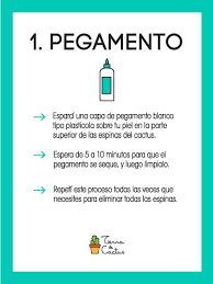 El empleado toca el cactus y dice, aay, me duele la mano. hay un banco al lado de la dulcería y el cactus tiene que sacar dinero. Te Pinchaste Aca Te Ensenamos Como Tierra De Cactus Facebook
