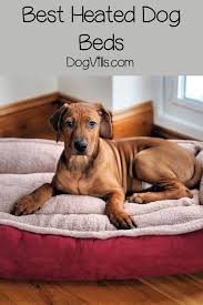 Do self warming dog beds work. Top 15 Best Heated Dog Beds Dogvills