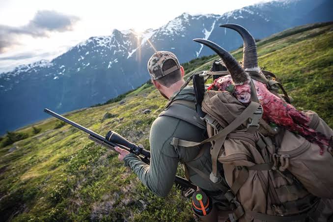 Steep And Deep: Mountain Goat Hunting In British Columbia - Petersen's Hunting
