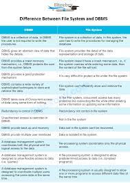 Difference Between File System And Dbms Sql Tutorial