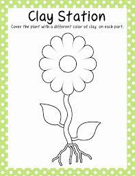 Color the petals a bright color of what are the female parts of a flower? Parts Of A Flower Coloring Page 2 Science For Cute766