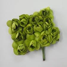 We did not find results for: Small Plain Paper Flowers Parrot Green Connect4sale