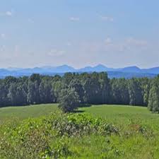 SLOAN MANIS REAL ESTATE