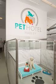 Maybe you would like to learn more about one of these? Pet Lodge Near Me Cheap Buy Online