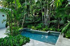 Craig Reynolds Landscape Architecture Tropical Pool Landscaping Landscaping Around Pool Tropical Landscape Design