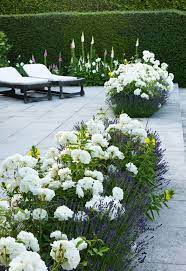 Good lighting is always about what you light, rather than the light fixture. Classic Contemporary Beautiful White Flowers Green Walls Loungers Beautiful Gardens Outdoor Gardens White Gardens