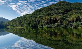 The site owner hides the web page description. æµæ°´é¿ é¦æ¸¯äººéé¦æ¸¯