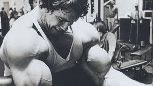 Die wiedergeburt des jungen arnold schwarzeneggers. Hd Hintergrundbilder Arnold Schwarzenegger Junge Bodybuilding Schauspieler Desktop Hintergrund