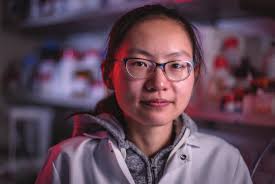 WHEN PREVENTION PAYS OFF