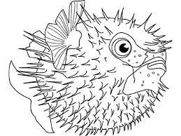 100 free sea life coloring pages. Sea Squab Puffer Fish Coloring Page Kids Play Color Animal Coloring Pages Fish Coloring Page Zoo Animal Coloring Pages
