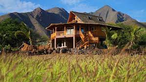 Bamboo Houses By Living