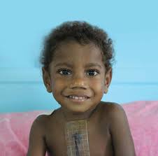 Annual Report 2012/2013