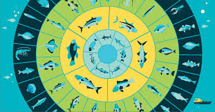 Mercury Rising Enjoy Fish Without The Risk Fix Com