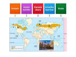 Maybe you would like to learn more about one of these? T3 Bab 8 6 Labelkan Kawasan Hutan Konifer Beschriftetes Diagramm