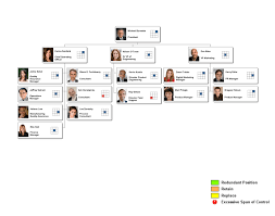 66 thorough coo organizational chart