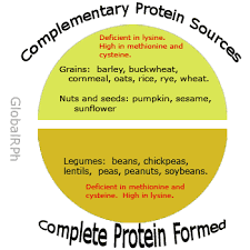 scientific example of complete protein 2019