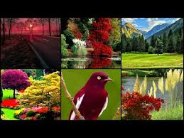 Check spelling or type a new query. Most Beautiful Nature Pictures In The World Nature Dp For Whatsapp Nature Images Nature Pictures Youtube