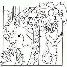 Rainforest regions have a great climate for vegetation. Pictures Of Jungle Animals Coloring Home