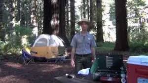 Maybe you would like to learn more about one of these? Prairie Creek Redwoods Sp
