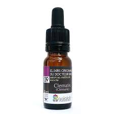 Maybe you would like to learn more about one of these? Elixir Fleurs De Bach Bio Clematite N 09 Distraction Reverie