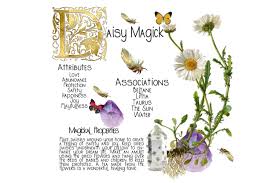 Check spelling or type a new query. The Playful Magickal Properties Of Daisies Wicca Now Everything You Need To Know About Wicca