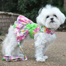 Pink Hawaiian Floral Dog Harness Dress Dog Harness Dress Dog Harness Dog Dresses