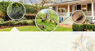 Our best hotels in segamat malaysia. Diamond Pest Control Pest Control Johor Bahru Termites Problem Jb Pencegah Anai Anai Xterm Termite Baiting Systems Jb Muar Batu Pahat Kluang Segamat Melaka Klang Valley