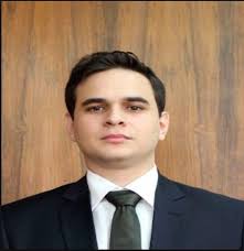 n. 11 (2018): Revista da Defensoria Pública da União