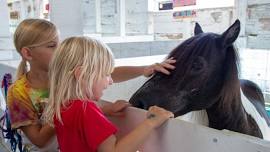 177th Calhoun County Fair