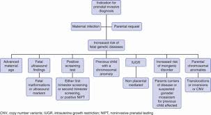 Image result for Fetal Testing Indications