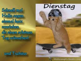 Alle lustigen bilder und coole bilder haben wir hier zusammengefasst. Schonen Dienstag Gif Bilder Kostenlos
