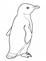 Download this running horse printable to entertain your child. Penguin Pictures For Kids Coloring Home