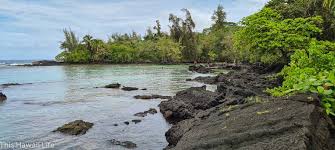 Carlsmith beach park is located right next to james kealoha beach park / 4 mile beach in hilo on the east side of hawaii's big island. Carlsmith Beach Park This Hawaii Life