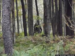 Huffpost Is Now A Part Of Verizon Media Bigfoot Sightings Bigfoot Bigfoot Photos