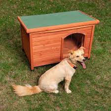 Maybe you would like to learn more about one of these? Niche Woody A Toit Plat Pour Chien Zooplus