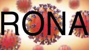 The Rona | Know Your Meme