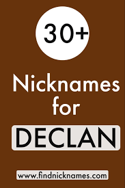 30 Awesome Nicknames For Declan Find Nicknames Good Nicknames Cute Pet Names Boy Names