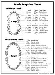 Faqs Upstate Pediatric Dentistry