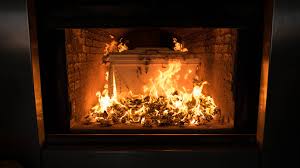 Dealing with their loss is difficult, but there are other things that you and the 60 million other dog owners should know before choosing cremation. How To Start A Crematorium Truic