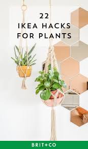 Save These Ikea Hacks To Put Your Indoor Plants On Display Beautifully Ikea Plants Ikea Indoor Plants Plant Decor