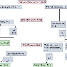 Flow Chart Representing Seizure Outcomes Based On Diagnostic